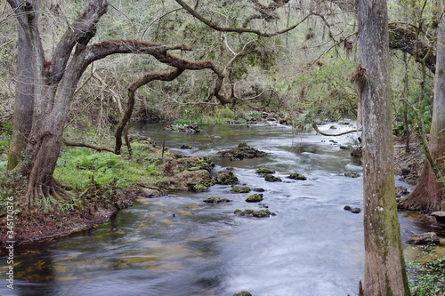 Hillsborough river at Tampa, Florida 