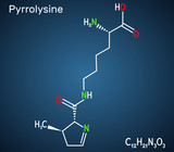 Pyrrolysine, l-pyrrolysine, Pyl, C12H21N3O3 molecule. It is amino acid, is used in biosynthesis of proteins. Structural chemical formula on the dark blue background