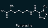Pyrrolysine, l-pyrrolysine, Pyl, C12H21N3O3 molecule. It is amino acid, is used in biosynthesis of proteins. Skeletal chemical formula on the dark blue background