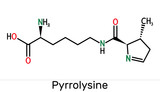 Pyrrolysine, l-pyrrolysine, Pyl, C12H21N3O3 molecule. It is amino acid, is used in biosynthesis of proteins