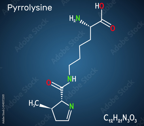 Pyrrolysine, l-pyrrolysine, Pyl, C12H21N3O3 molecule. It is amino acid, is used in biosynthesis of proteins. Structural chemical formula on the dark blue background photo