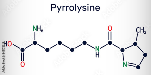 Pyrrolysine, l-pyrrolysine, Pyl, C12H21N3O3 molecule. It is amino acid, is used in biosynthesis of proteins. Structural chemical formula