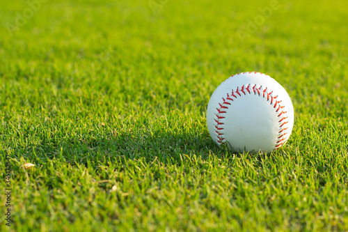 Photography Baseball