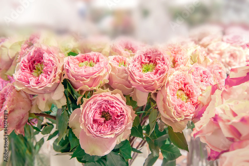 A beautiful bouquet of peony pink roses. Bouquet of roses of modern selection. Close up
