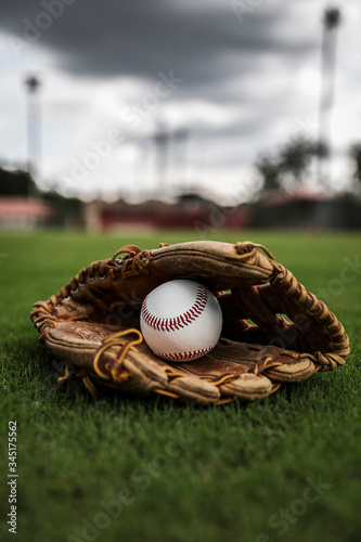 Quadro su tela Baseball & Gove