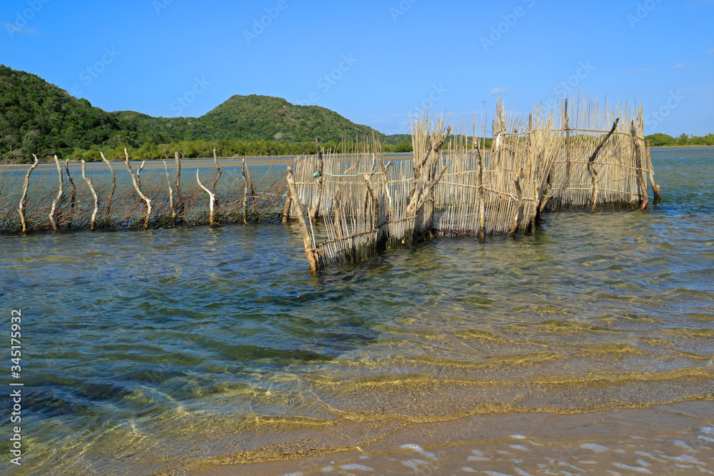 Traditional Tsonga fish trap built in the Kosi Bay estuary, Tongaland, South Africa. - obrazy, fototapety, plakaty 