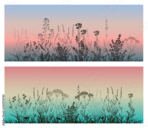 Set of beautiful landscapes. Vector illustration grass and flowers silhouette against a sunset background.