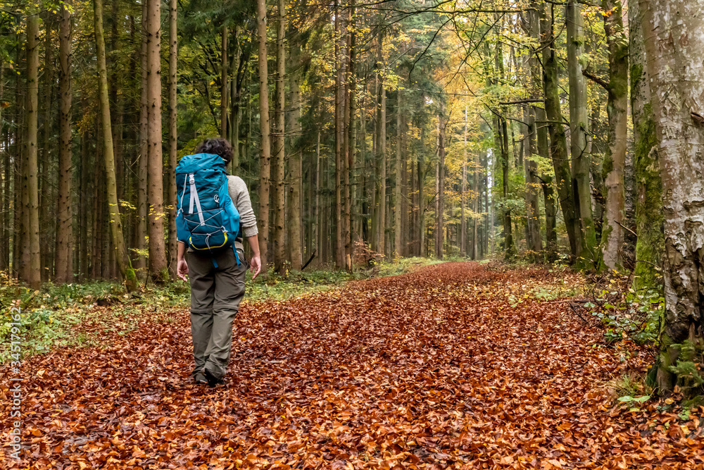 Woman walking in a Trail with autumn leaves around Calw village Woman walking in a Trail with autumn leaves around Calw village