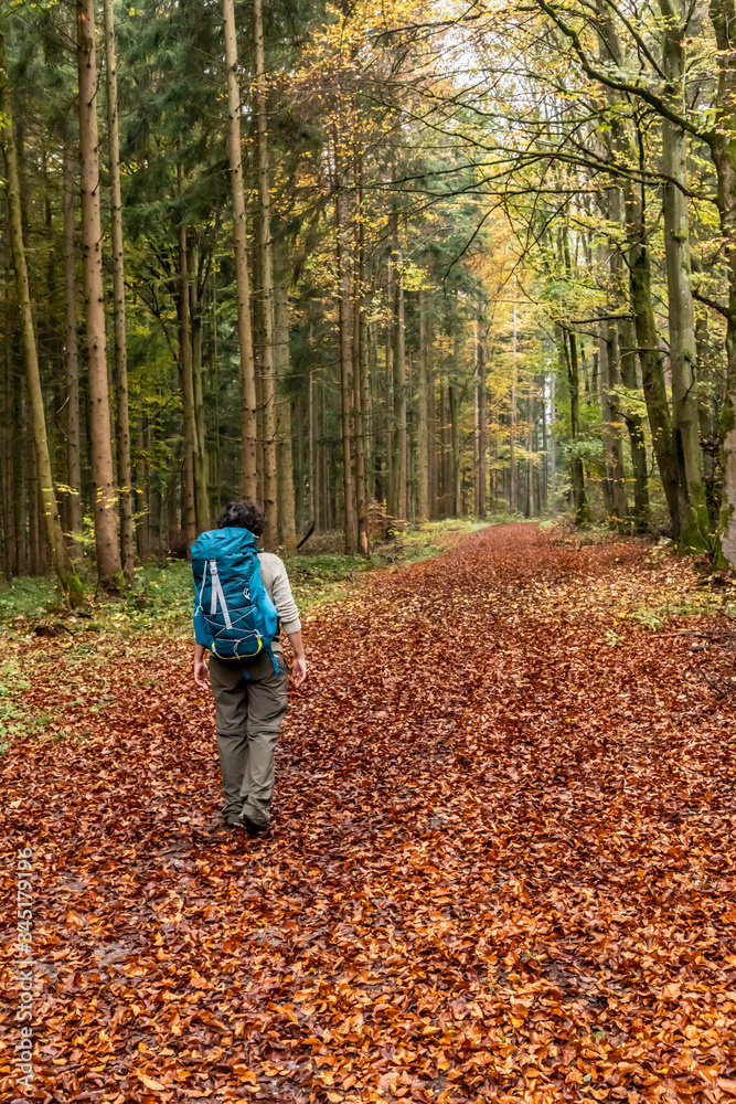 Woman walking in a Trail with autumn leaves around Calw village