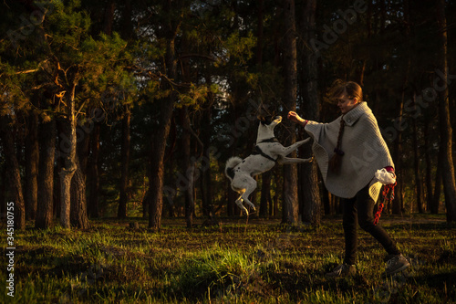 Basenji dog in the forest with his master, walk in the fresh air and train the animal