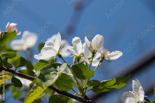 Spring in comming!