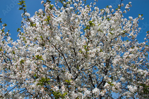 Spring in comming!