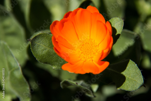 Spring in comming!