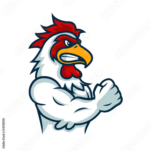 Angry rooster mascot logo illustration, isolated background