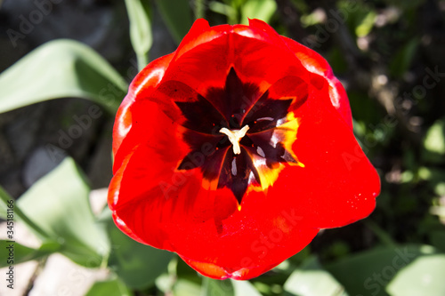 Spring in comming!