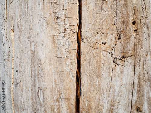 Close-up of tree trunk without bark with crack, natural brown background. photo