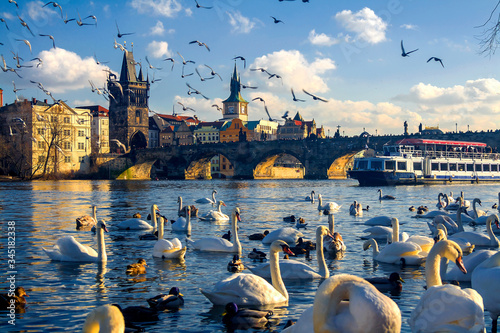 Photography View of the Vltava River and the bridges shined with the sunset sun, Prague