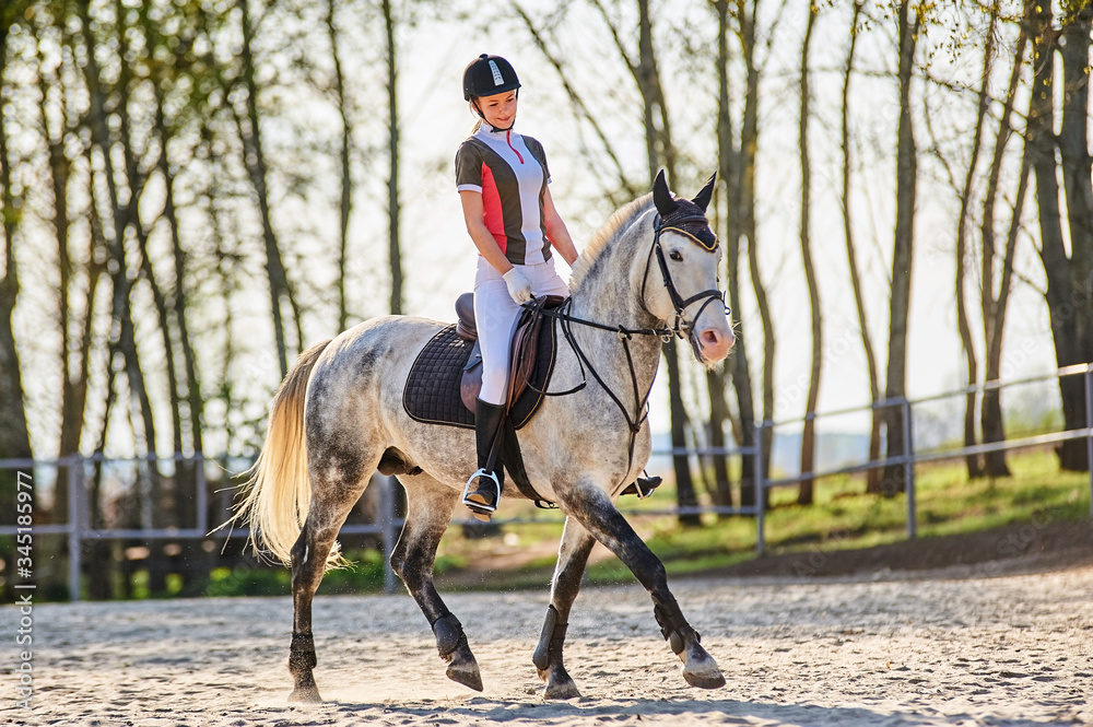 Girl equestrian rider riding a beautiful horse  in the rays of the setting sun.