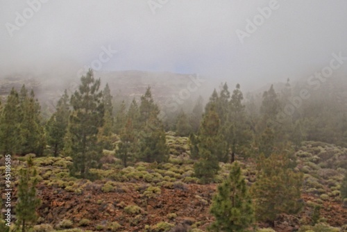 calm mountain landscape around Teide on the Spanish Canary Island Tenerife