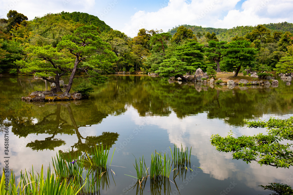 Japanese ornamental garden  with Japanese white pines and lake near Kinkakuji Temple (kinkaku-ji) in Kyoto, Japan.