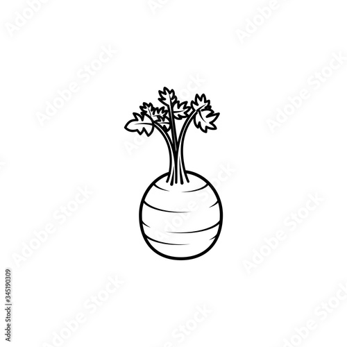 Mediterranean food, stalked and leafy celery, vector illustration