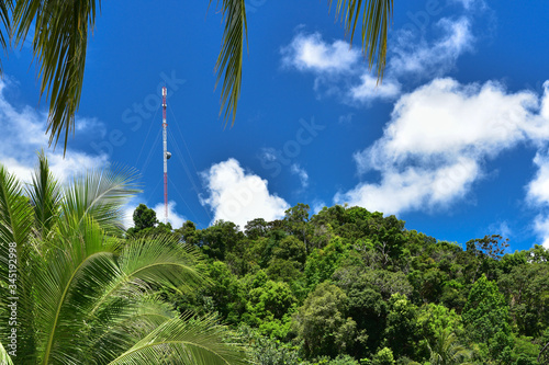 Fototapeta Naklejka Na Ścianę i Meble -  Telecommunication tower with antenna in the middle of the jungle with blue sky in the background.   5G cellular site base station. Wireless communication antenna transmitter.