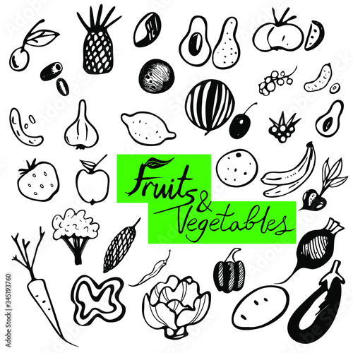 Collection of vector hand-drawn fruits and vegetables in vector. The set contains such main fruits as  cherry  olives  pineapple  coconut  coffee bean  avocado  banana  lemon  strawberry and others.