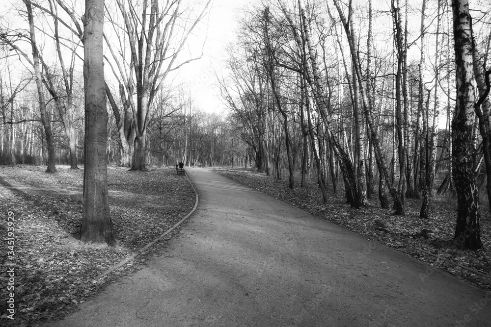 Park im. A. Mickiewicza w Łodzi (City park in Lodz) Park im. A. Mickiewicza w Łodzi (City park in Lodz)