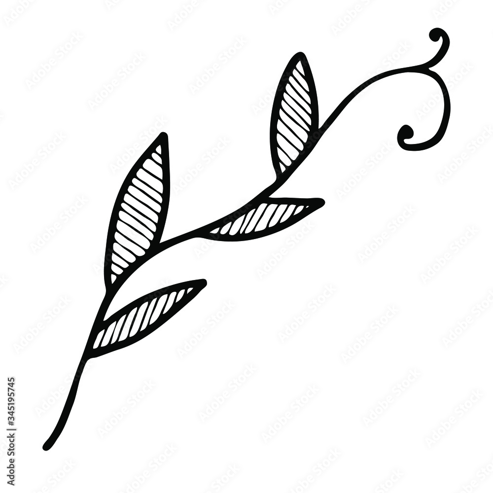 Decorative simple twig with leaves. Leaflets filled with lines. Beautiful plant for cards, congratulations and wedding invitations. Also, a flower is suitable for illustrating a book about animals. Decorative simple twig with leaves. Leaflets filled with lines. Beautiful plant for cards, congratulations and wedding invitations. Also, a flower is suitable for illustrating a book about animals.