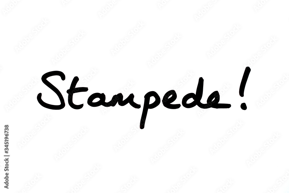 Stampede! Stampede!