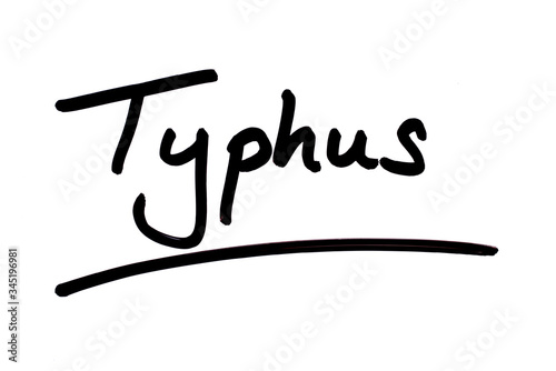 Typhus photo