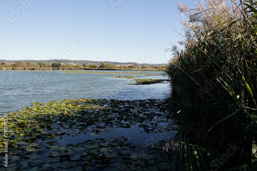 Lake, Breitungen Lake, Nature reserve, Breitungen, Thueringen, Germany, Europe photo