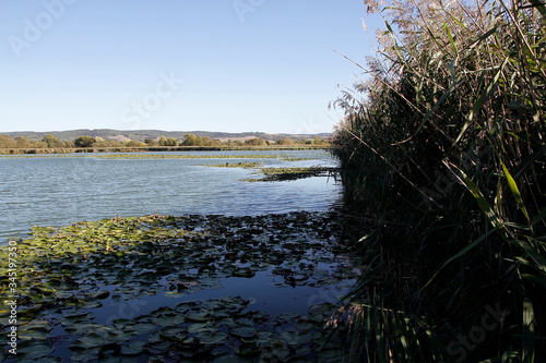 Lake, Breitungen Lake, Nature reserve, Breitungen, Thueringen, Germany, Europe photo