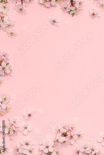 Framework from spring cherry blossoms on pastel pink background. Flat lay. Copy space. Top view