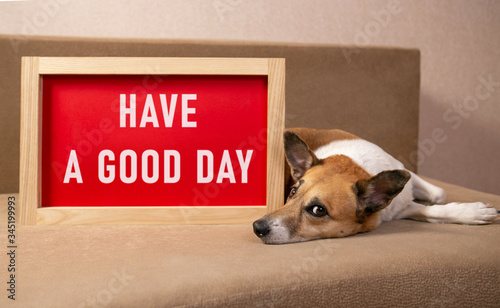 Dog lying on the sofa with blurred the poster in the frame with a message have a good day