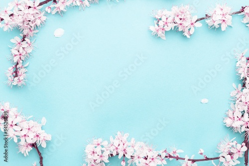 Sakura blossom flowers and may floral nature on blue background. For banner, branches of blossoming cherry against background. Dreamy romantic image, landscape panorama, copy space.