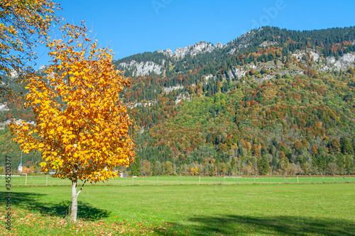 Sunny autumn day in Bavarian Alps, Germany