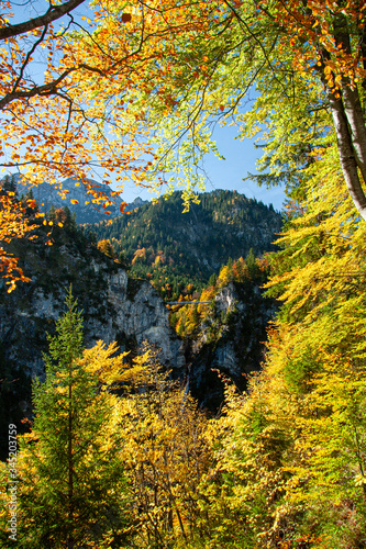 Sunny autumn day in Bavarian Alps  Germany