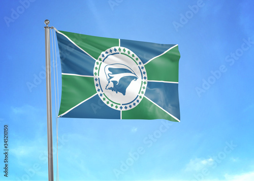 Martinique flag waving sky background 3D illustration
