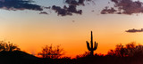 A panorama of a saguaro cactus silhouetted against the glowing red sky of the sunset in the Sonoran Desert of Arizona.