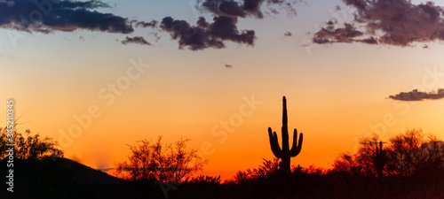 A panorama of a saguaro cactus silhouetted against the glowing red sky of the sunset in the Sonoran Desert of Arizona.