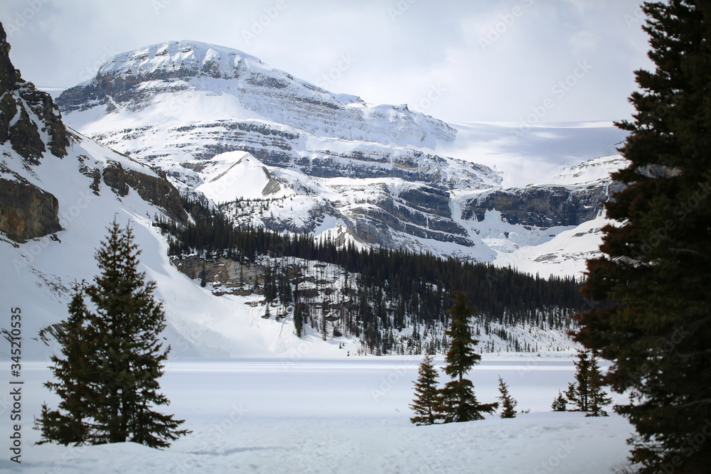 Snowy scenery along the Icefields Parkway that connects Banff National Park to Jasper National Park in Canada