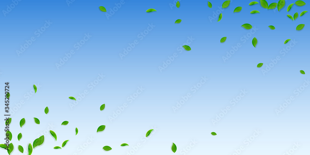 Falling green leaves. Fresh tea chaotic leaves fly Falling green leaves. Fresh tea chaotic leaves fly