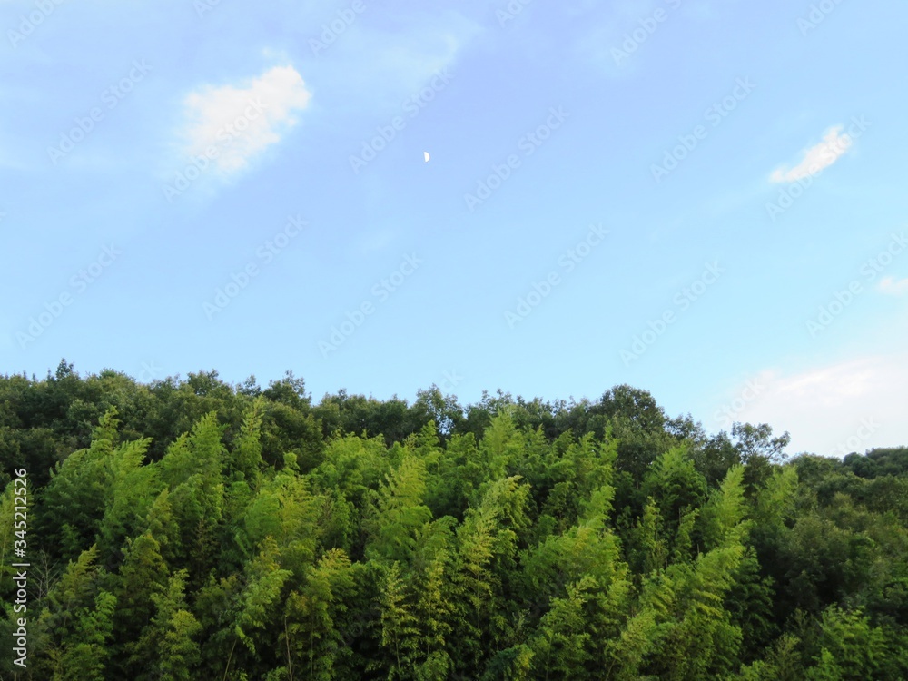 日本の田舎の風景　9月　初秋　薮と月　夕景