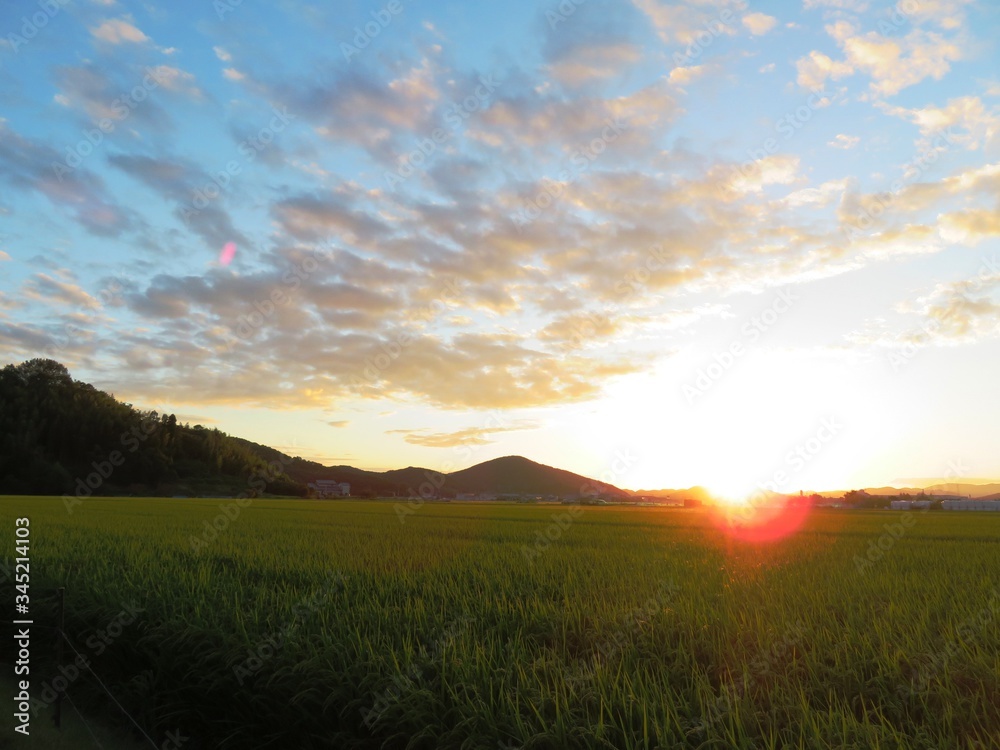 日本の田舎の風景　9月　夕焼雲と田んぼ