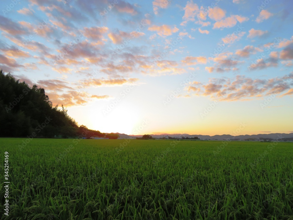 日本の田舎の風景　9月　夕焼雲と田んぼ