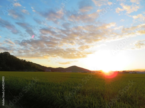 日本の田舎の風景 9月 夕焼雲と田んぼ