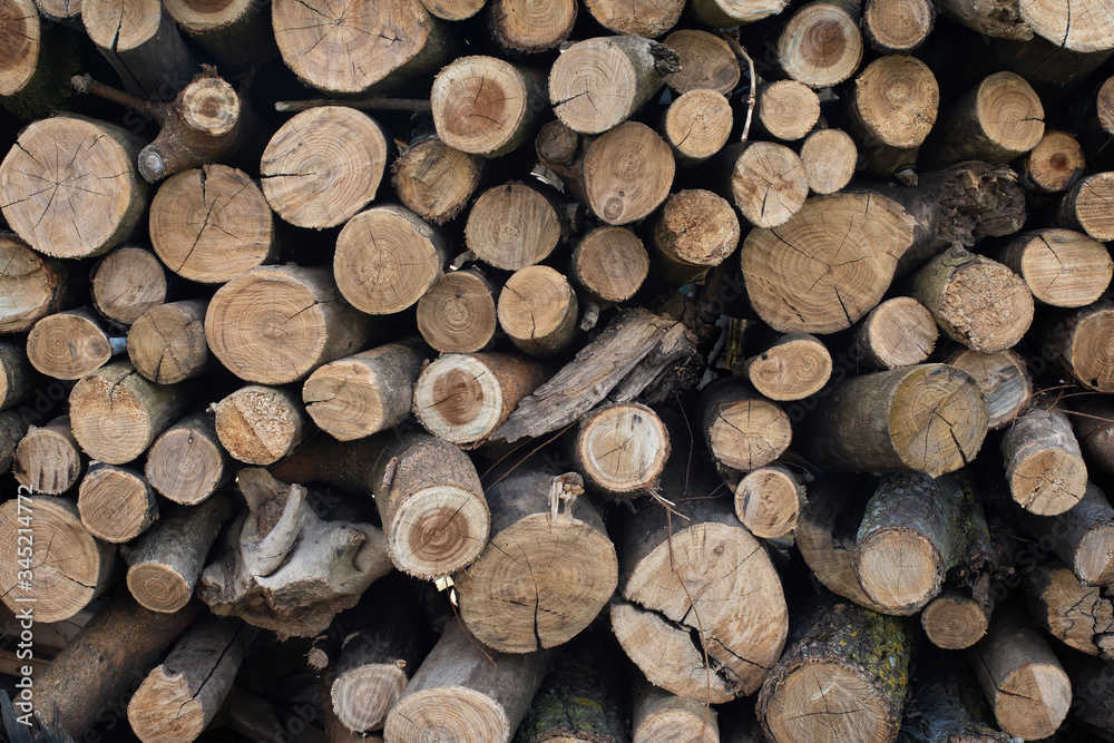 Stack of mixed logs Stack of mixed logs