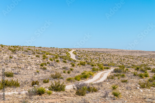 Road Through Desert Near Carlsbad Caverns National Park