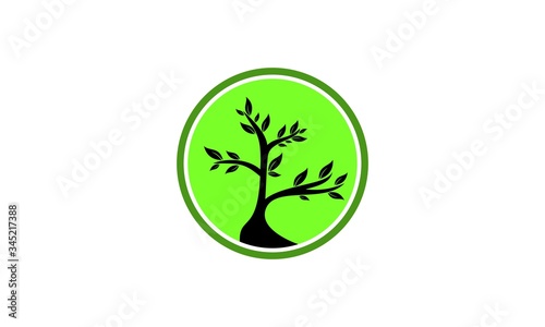 elegant beauty nature logo tree